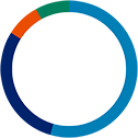 Medium risk donut graph