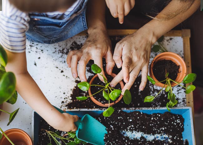 Person with child potting plants.