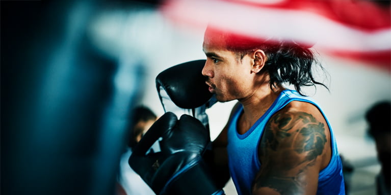 Image of a boxer