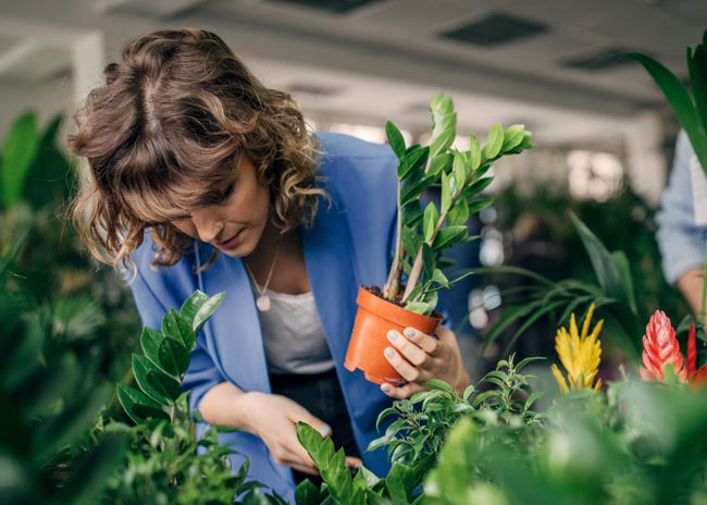 A woman potting a plant