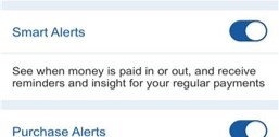 Screenshot of mobile app showing the toggle for 'Smart Alerts'