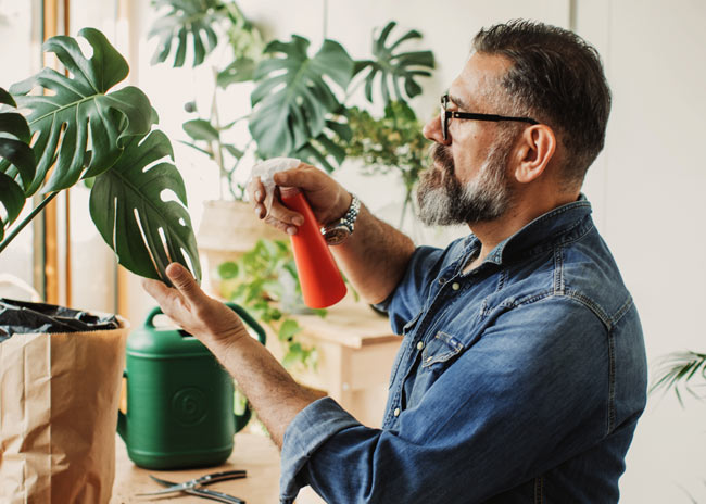 Man watering pot plant.